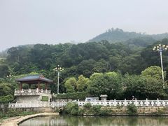 -龙江公园