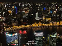 -上海柏悦酒店
