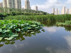 -前关湿地公园