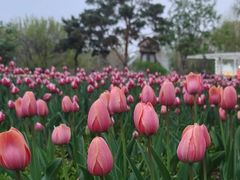 -长春公园(普阳街道)