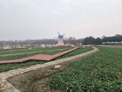 -武汉紫薇都市田园