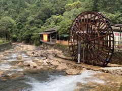 -姑婆山旅游区