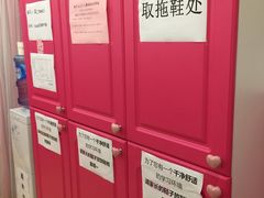 -桃子公主舞蹈培训(万柳校区)