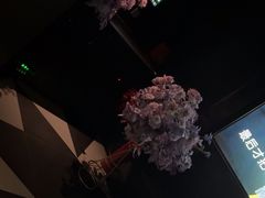 -黑桃K生日订制KTV