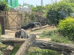 -大连森林动物园