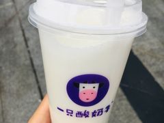 -一只酸奶牛(八一路店)