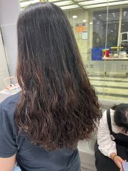 -镁连社·美联社