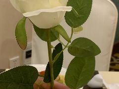 -深圳维景酒店-维景轩