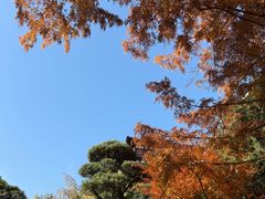 -陆羽泡的茶(集散中心店)