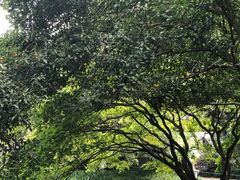 -杭州少年儿童公园