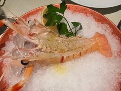 -一棵树·意大利西餐厅One Tree(新城店)