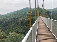 -川西竹海景区