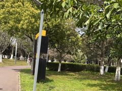 -澹台湖公园