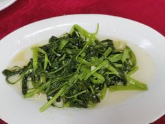 腐乳炒空心菜-蛇口康乐快餐鱼仔档(翠苑小区店)