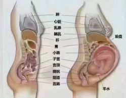 -妈妈乐专业无痛催乳满月发汗分娩体验(东川路总店)