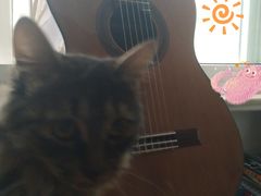 -何顺华吉他沙龙