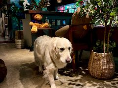 -咖法森林·咖啡  酒吧(天河店)