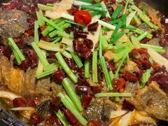 -老板恋上鱼(恒隆广场店)