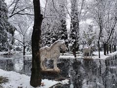 -洛阳白马寺