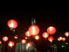 -河内西湖莲花自助餐厅