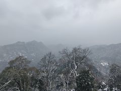 -青城山