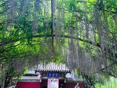 -红螺寺