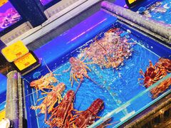 -万宝海鲜舫(劳动公园店)