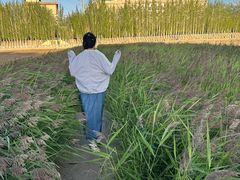 -党河风情线国家水利风景区