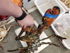 -驻海渔市(置信店)