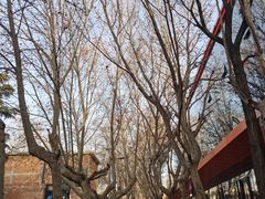 -西安电影制片厂