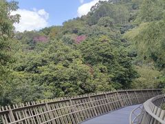 -福道