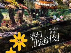 -上海共青森林公园