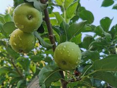 -北京国家会计学院