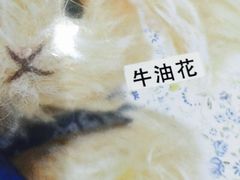 -珍妮曲奇聪明小熊(尖沙咀店)