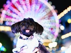 -木子谷深圳甜品自助餐(梅林店)