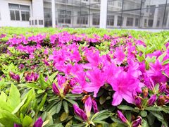 -中国地质大学图书馆