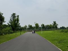 -金银湖国家城市湿地公园