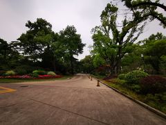 -上海虹桥迎宾馆