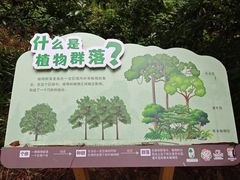 -竹泉农庄·竹筒饭(从化店)