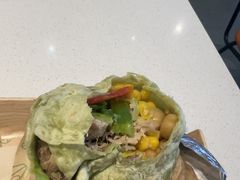 -油梨树 AVOCADO TREE(亮马桥店)