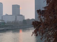 -运河游船(武林门码头)