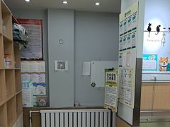 -瑞派宠物医院·中兽医专科(中央商城分院)