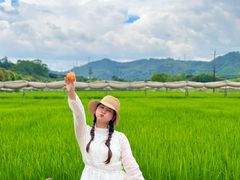 -光明小镇欢乐田园