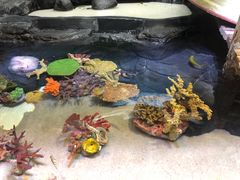 -上海海洋水族馆