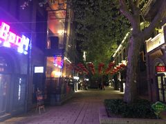 -绿地·中山里