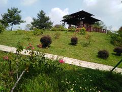 -东莞植物园