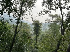 -紫金山山顶公园