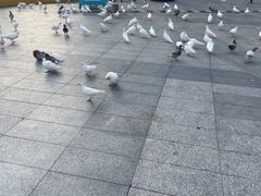 -万达广场(广州番禺店)