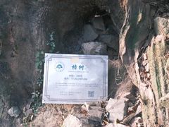 -杨家堂村
