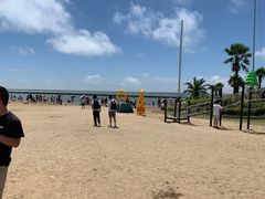 -碧海金沙